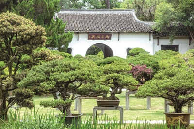 你真的逛遍杭州花圃了吗