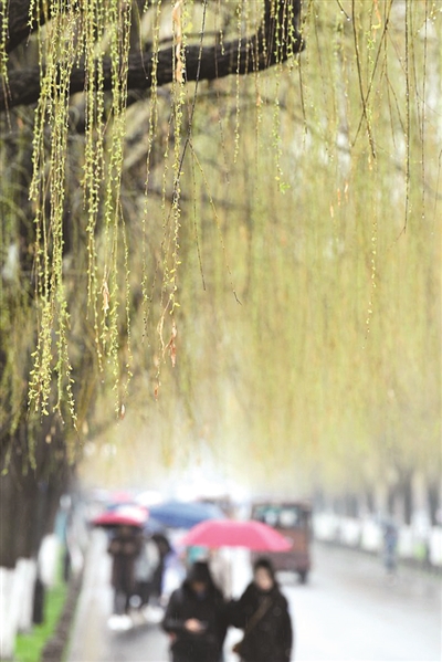 明天起各地阴天到多云-重庆今日外出时段有间断小雨 (明天阴天吗?)