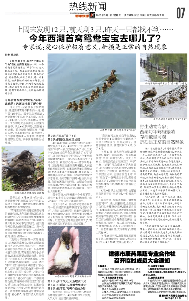 热线新闻_2026-05-01_都市快报